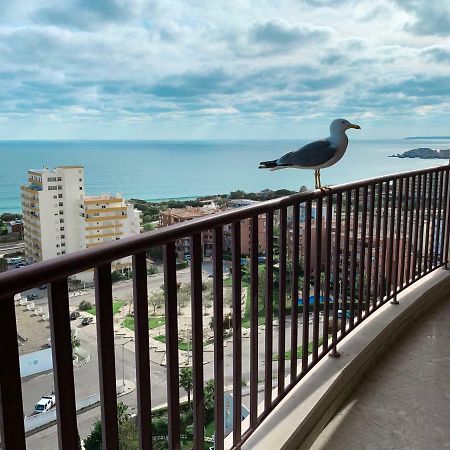 Panoramic Apartment In Portimao: Ocean View, Wifi ภายนอก รูปภาพ